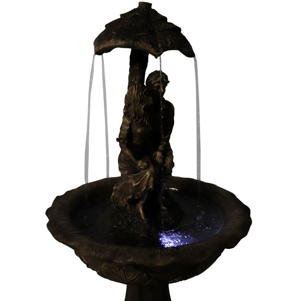 Ophelia & Co. Hornsby Solar Fountain with LED Light & Reviews Wayfair